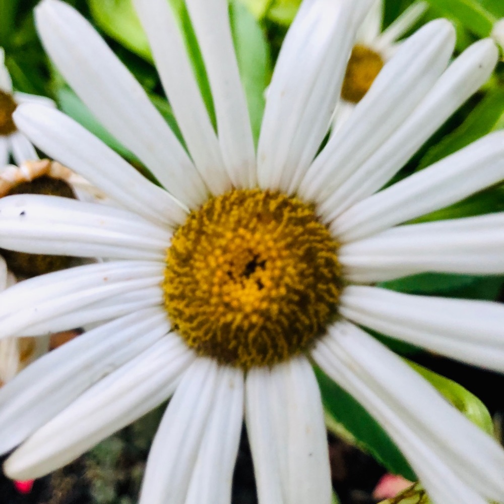 Meet your Posher, Michaela